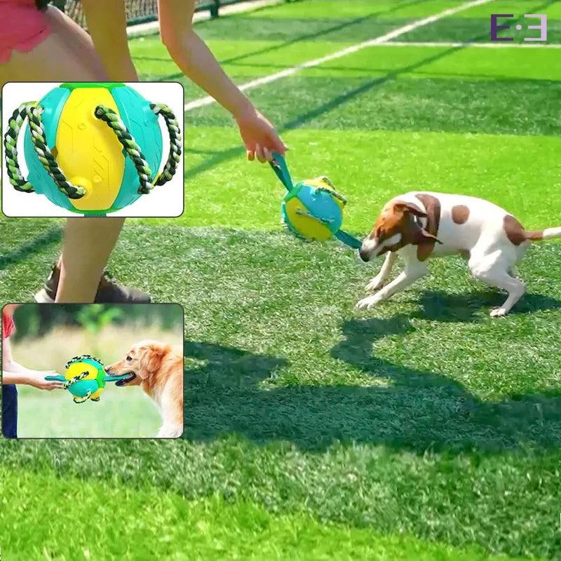 Brinquedo Interativo Bola Frisbee para Cães - Estilo.e